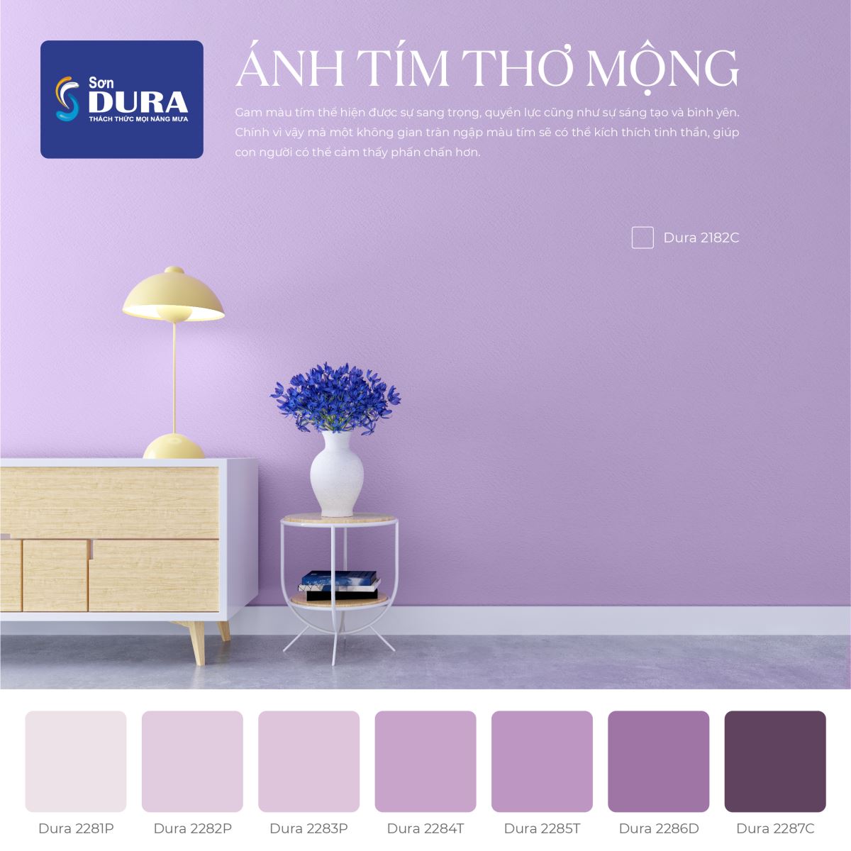 Bộ sưu tập đầy lãng mạn: Ánh tím thơ mộng từ cây màu sơn Dura
