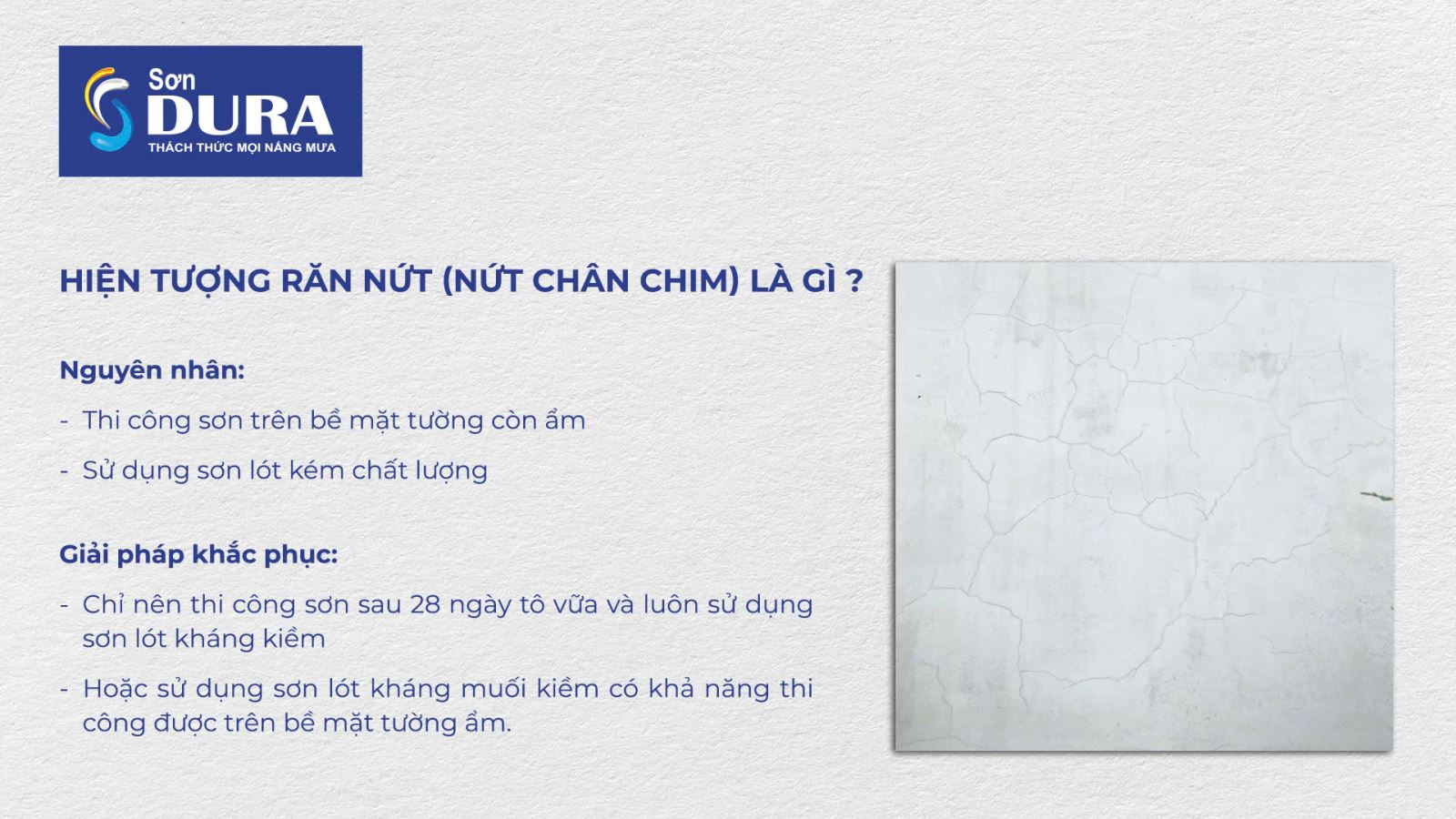 hiện tượng răn nứt chân chim trên màng sơn